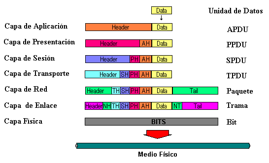 Modelo OSI - Redes - El Profe Alegría